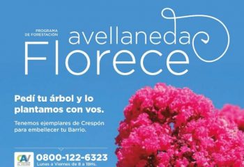 Avellaneda Florece