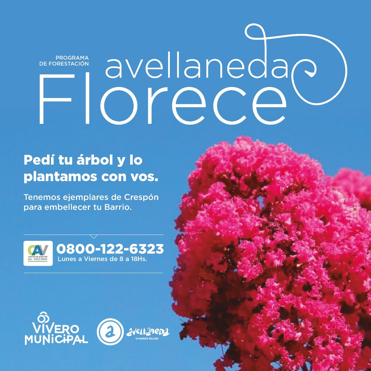 Avellaneda Florece