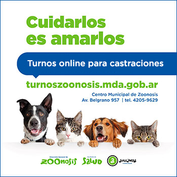 Cuidarlos es amarlos- Turnos zoonosis