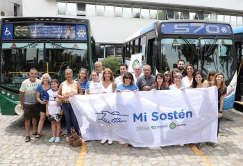 Avellaneda es la primera ciudad del país con una línea comunal de colectivos con señalización pictográfica adaptada