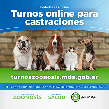 Cuidarlos es amarlos- Turnos zoonosis